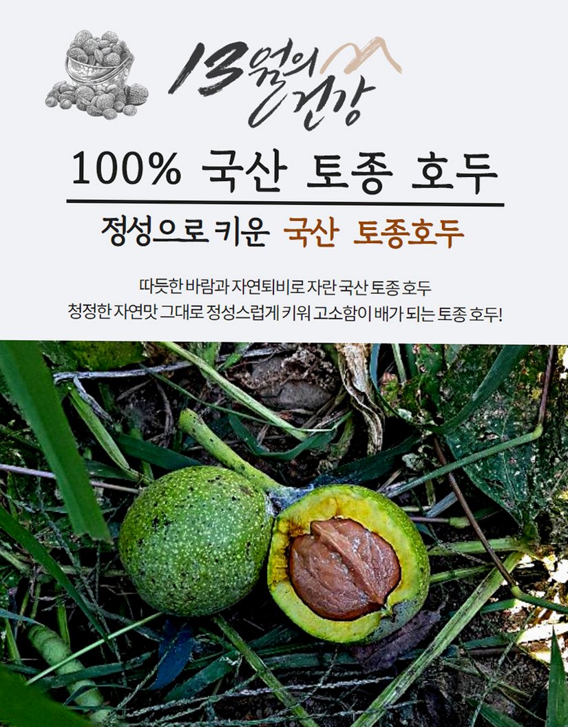 2025년 깐 국산 호두 피 임산부 햇 알 호두